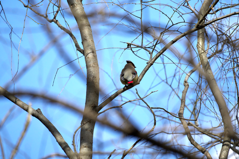 s-_DSC5321