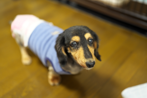 s-_DSC6820