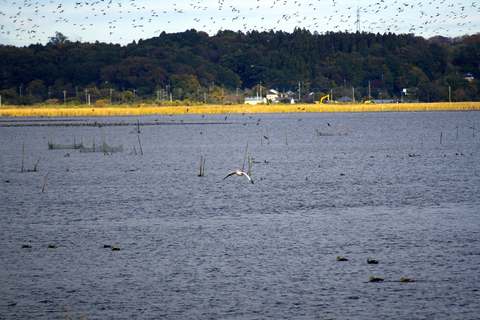 s-_DSC1087
