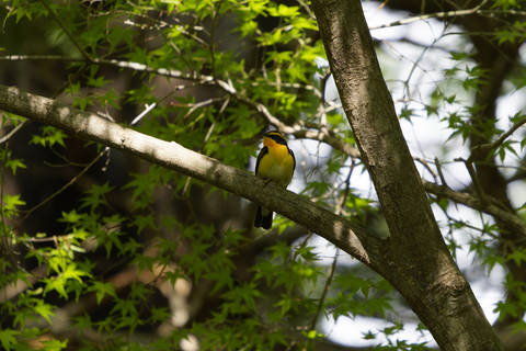 s-_A741945-ARW_DxO_DeepPRIMEXD