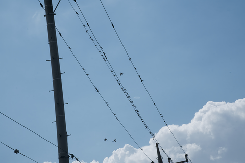 s-_DSC8635