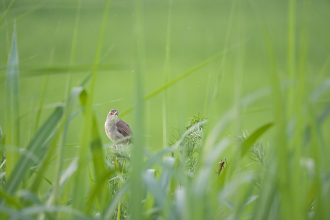 s-_DSC7793