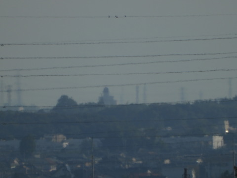 DSCN0024