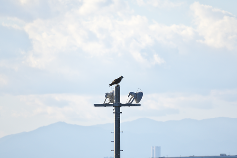 s-_DSC0522
