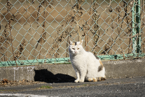 s-_DSC0870