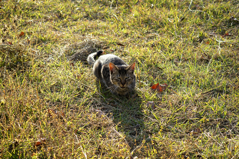 s-_DSC0771