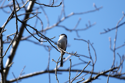 s-_DSC0846