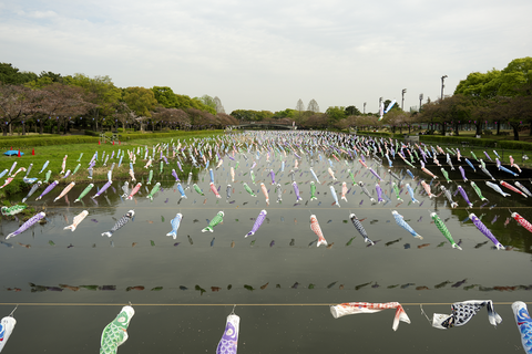 s-_DSC6512