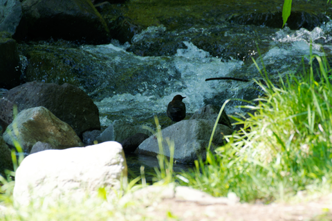 s-D6701481-ARW_DxO_DeepPRIMEXD
