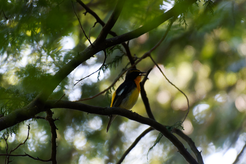 s-D6701511-ARW_DxO_DeepPRIMEXD