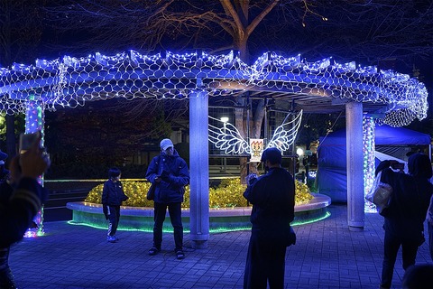 s-_A745205-ARW_DxO_DeepPRIMEXD
