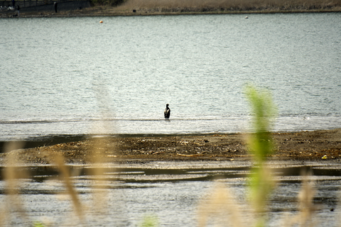 s-_DSC7061