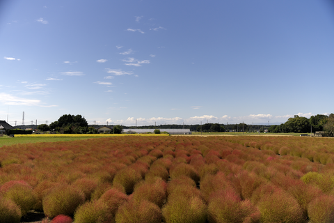 s-_DSC5882