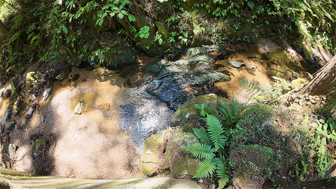 s-DJI_20260516112122_0011_D