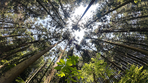 s-DJI_20260516111909_0010_D