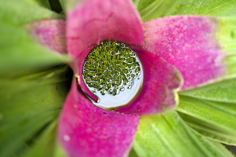 s-_DSC6611