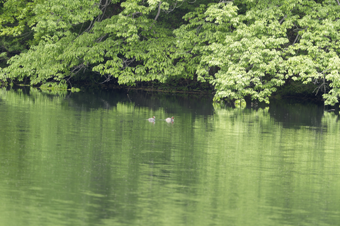 s-_A741875-ARW_DxO_DeepPRIMEXD