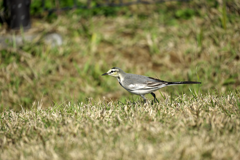 s-_DSC7933