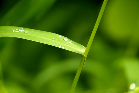 s-_DSC3551