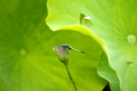 s-_DSC8327