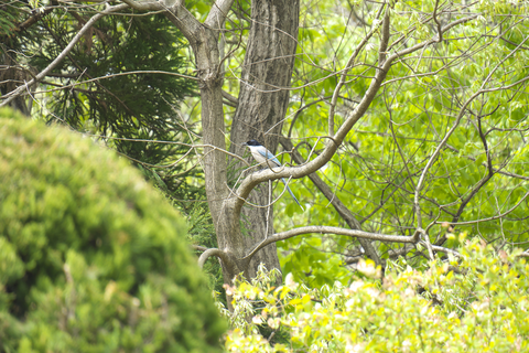 s-_DSC6520