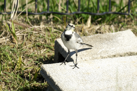 s-_DSC7928