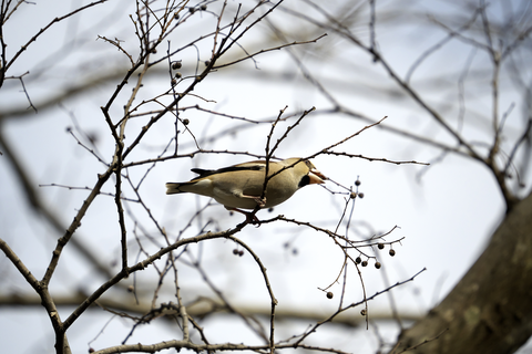 s-_DSC7630