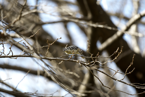 s-_DSC5338