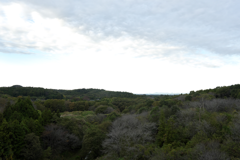 s-_DSC0969