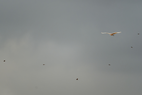 s-_67L3630-ARW_DxO_DeepPRIMEXD