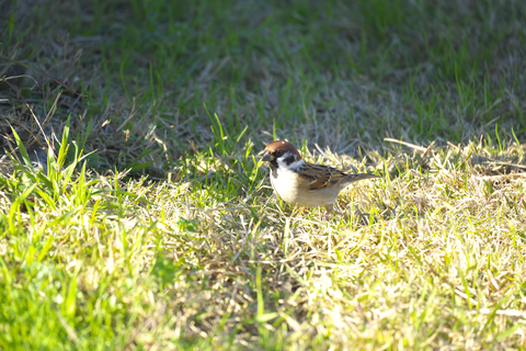 s-_DSC7995