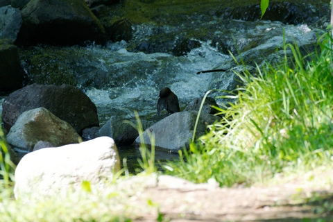 s-D6701475-ARW_DxO_DeepPRIMEXD