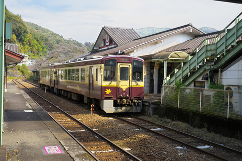 s-_DSC2489