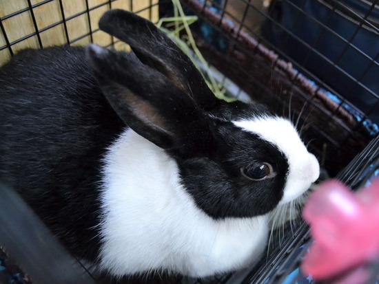 210821 おっきDSC_2079 (2)