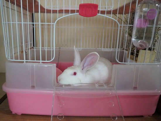 230318しろDSC05656