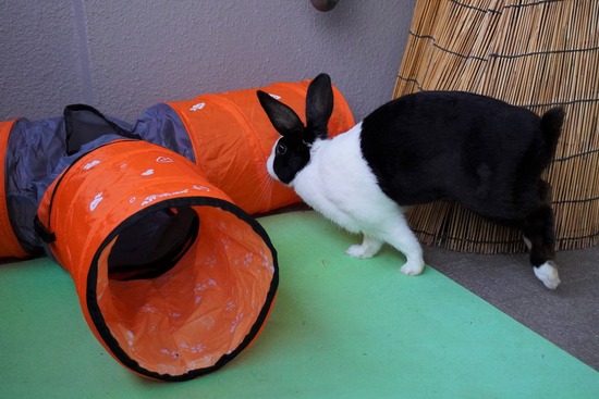 20230429くりDSC06183