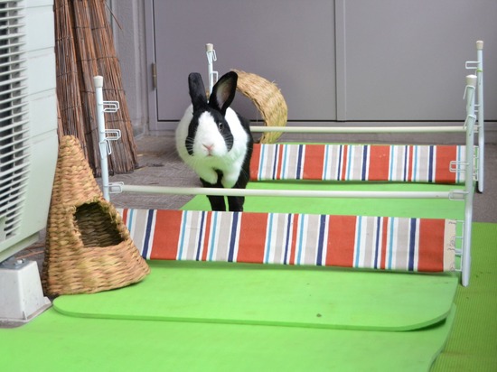 210912 powa DSC_2382 (2)