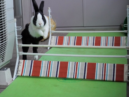 220129komaDSC03944 (2)