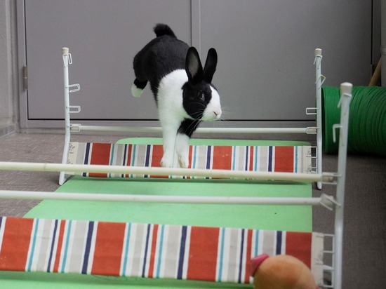 220417ビスケDSC01495 (2)