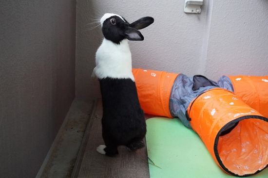 20230429げんDSC06928