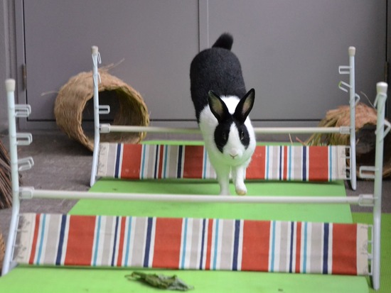 210912 okki DSC_0427 (2)