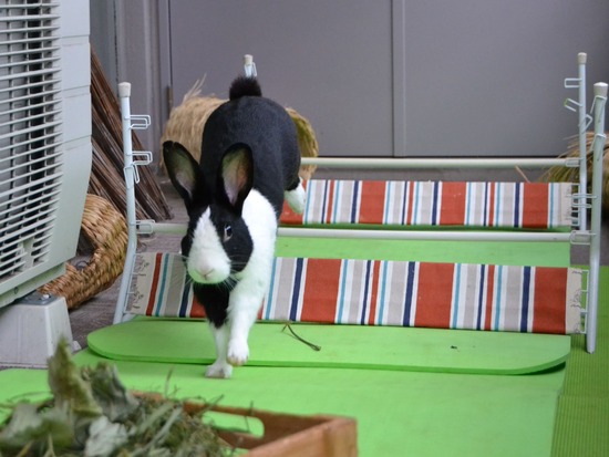 210912 bi2 DSC_0209 (2)