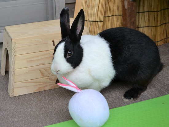 210905 olkkiDSC_2528 (2)