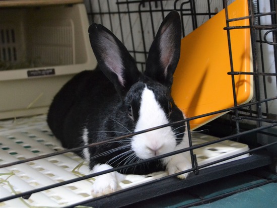 211107 b2 DSC_1589 (2)