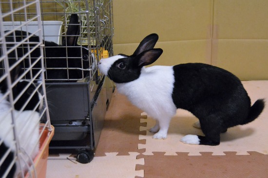 210723 たまDSC_3213 (2)