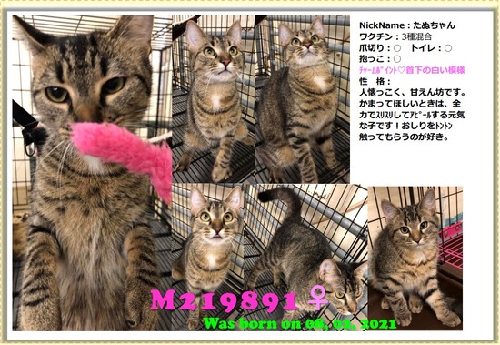 Web キャプチャ_15-7-2022_13652_