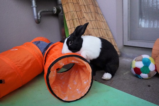 20230503げんDSC08617