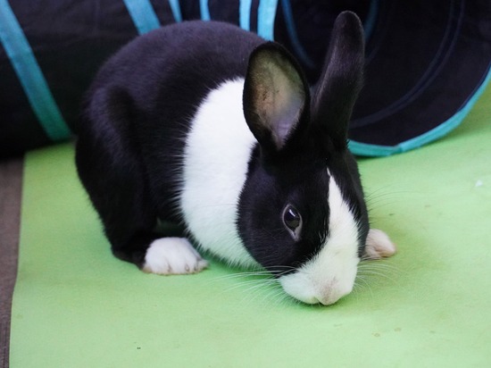 220212ビスケDSC05407 (2)