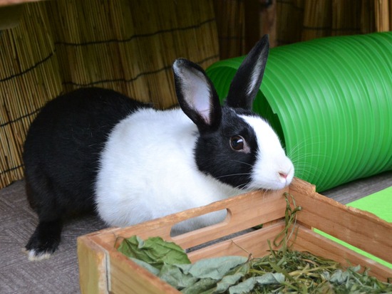 210905 おっきDSC_2316 (2)