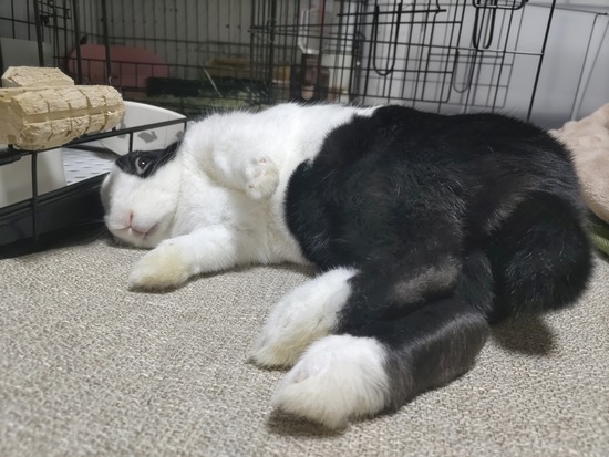 BeautyPlus_20231230225952544_save